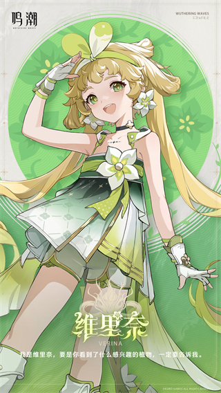鸣潮维里奈角色介绍