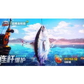 欢乐钓鱼大师2024礼包兑换码怎么获得