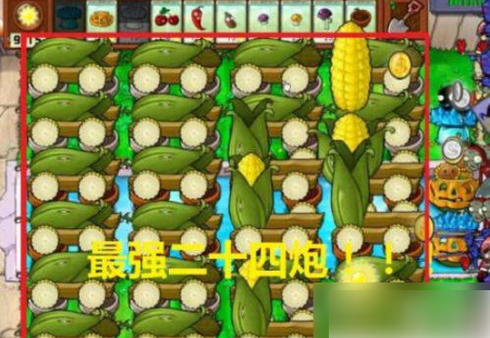 植物大战僵尸