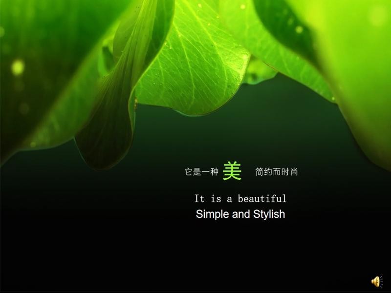 ​美丽绿植PPT背景图片