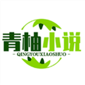 青柚小说免费版