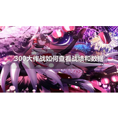 300大作战掌握你的战斗历程 - 如何查看个人战绩