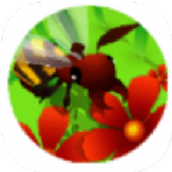 蜜蜂世界