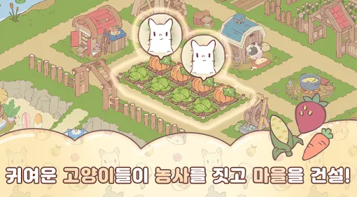 猫咪和汤国际版