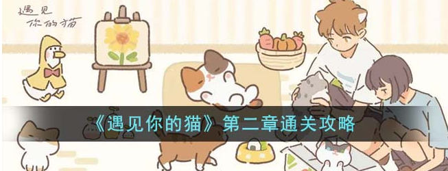 遇见你的猫