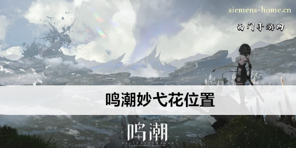 鸣潮