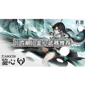 鸣潮鉴心角色武器选择指南