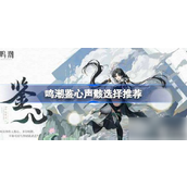 鸣潮手游鉴心角色声骸搭配指南