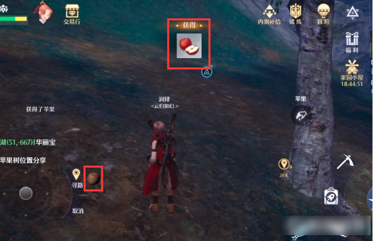 诺亚之心