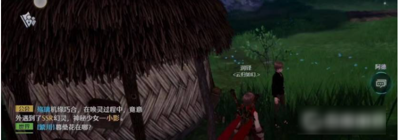 诺亚之心