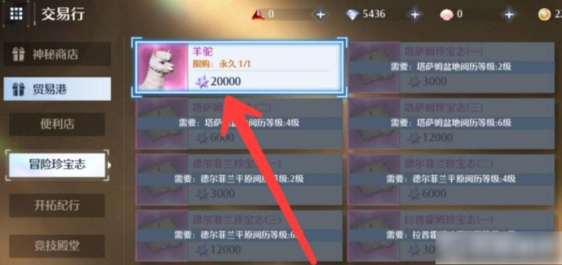 诺亚之心