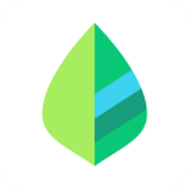 薄荷记账app
