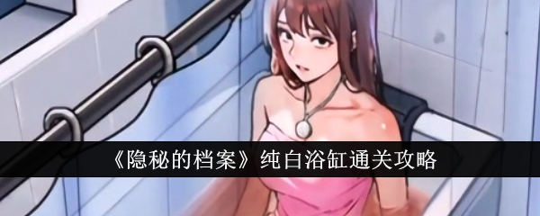 隐秘的档案