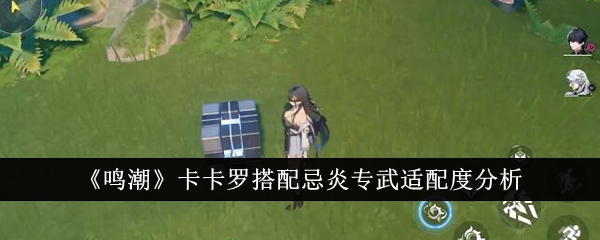 鸣潮