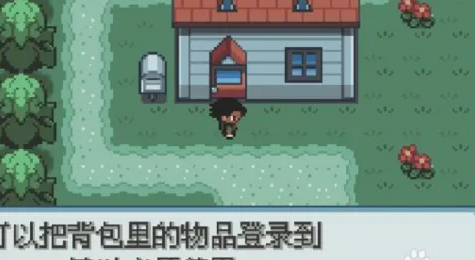 口袋妖怪圣灰