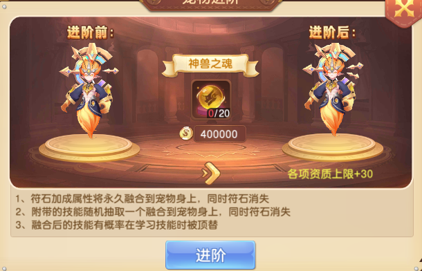 驯龙物语