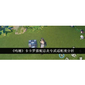 《鸣潮》卡卡罗与忌炎专武适配度深度解析