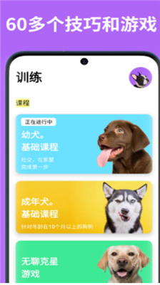 EveryDoggy