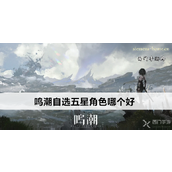 鸣潮自选五星角色指南实力与策略的选择