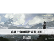鸣潮主角暗属性声骸搭配指南