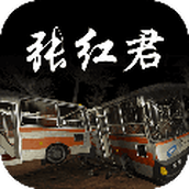 孙美琪疑案：张红君
