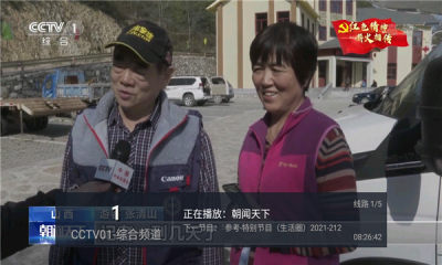 年年TV电视版