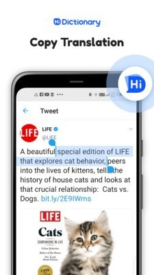 hi dictionary翻译器