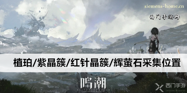 鸣潮