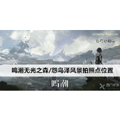 鸣潮无光之森与怨鸟泽风景拍照点指南