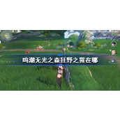 鸣潮无光之森狂野之猩在哪