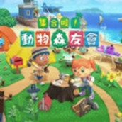 猛男捡树枝下载最新版