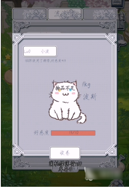 花与香水与猫
