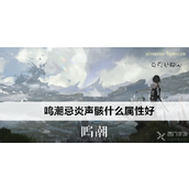 鸣潮忌炎声骸属性攻略与套装选择详解