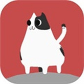 猫咪掉下来啦