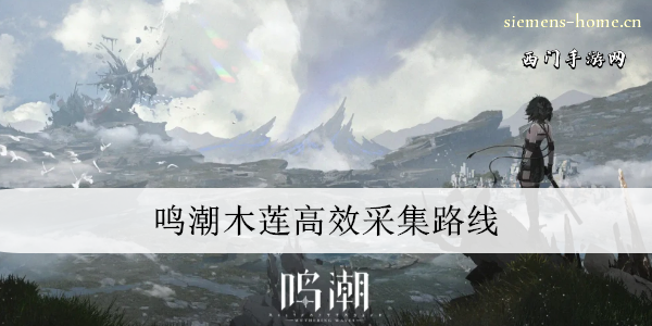 鸣潮