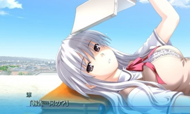 板上台风手机版