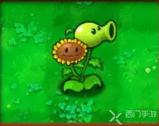 植物大战僵尸