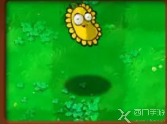 植物大战僵尸