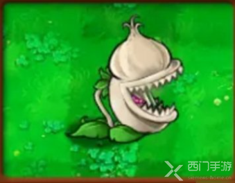 植物大战僵尸