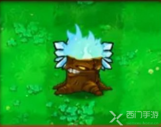 植物大战僵尸