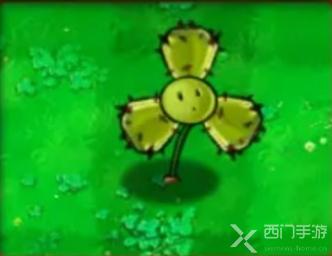 植物大战僵尸