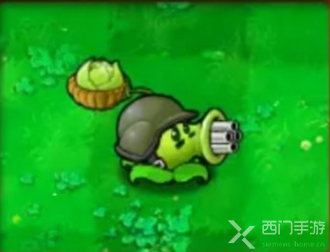 植物大战僵尸