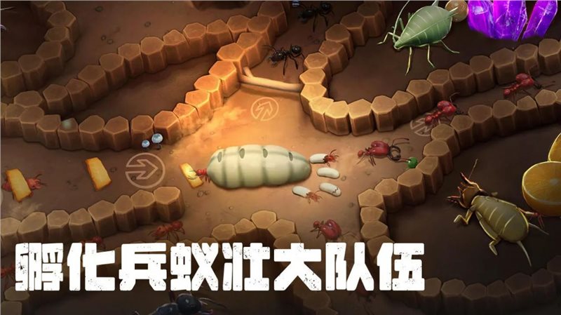 蚂蚁打不过（安装）