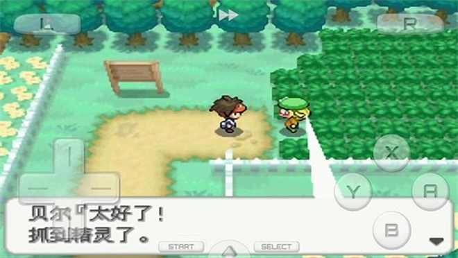口袋妖怪白2中文版