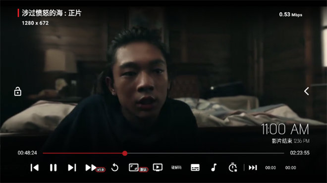 飞龙影视电视版