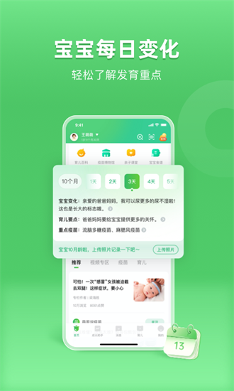 小豆苗本
