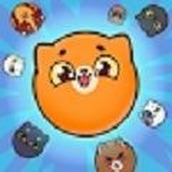 合并西瓜小猫WatermelonCats免费正版