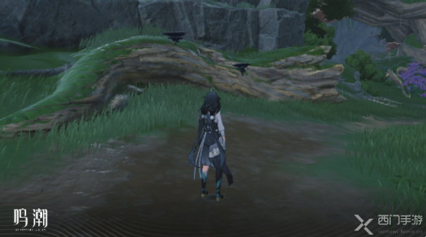 鸣潮