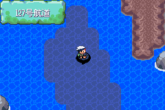 口袋妖怪刽曜之影