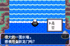 口袋妖怪刽曜之影